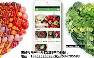 臨沂軟件開發(fā)公司解析生鮮app定制開發(fā)必須具備的功能